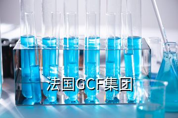 法國GCF集團(tuán)