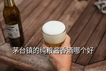 茅臺鎮(zhèn)的純糧醬香酒哪個(gè)好