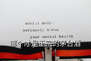哪個(gè)才是正宗的茅臺(tái)酒
