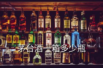 茅臺(tái)酒一箱多少瓶