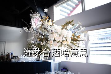 灌茅臺(tái)酒啥意思