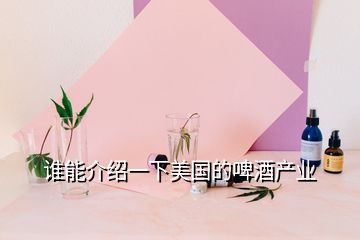 誰能介紹一下美國的啤酒產業(yè)