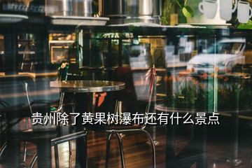 貴州除了黃果樹(shù)瀑布還有什么景點(diǎn)