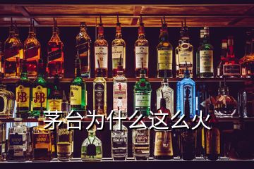 茅臺為什么這么火