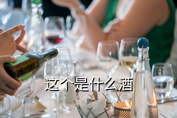 這個是什么酒