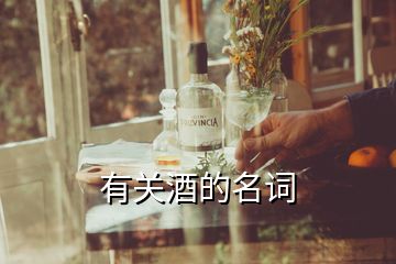有關(guān)酒的名詞