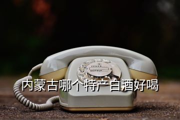 內(nèi)蒙古哪個(gè)特產(chǎn)白酒好喝