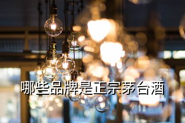 哪些品牌是正宗茅臺(tái)酒