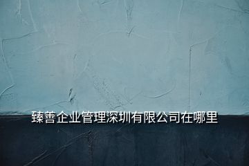 臻善企業(yè)管理深圳有限公司在哪里