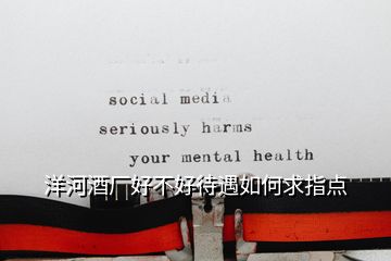 洋河酒廠好不好待遇如何求指點
