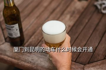 廈門到昆明的動車什么時候會開通
