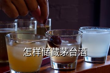怎樣儲(chǔ)藏茅臺(tái)酒