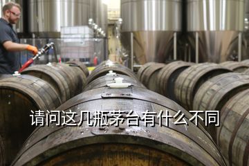 請(qǐng)問這幾瓶茅臺(tái)有什么不同