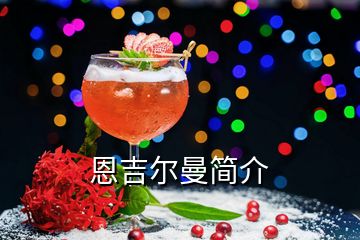 恩吉爾曼簡介