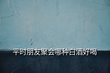 平時(shí)朋友聚會(huì)哪種白酒好喝