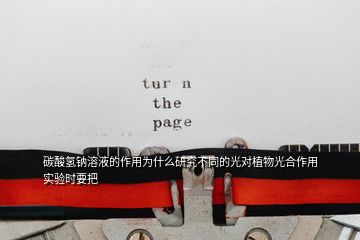 碳酸氫鈉溶液的作用為什么研究不同的光對植物光合作用實(shí)驗(yàn)時(shí)要把