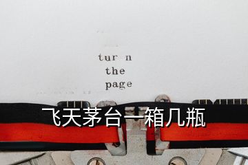 飛天茅臺(tái)一箱幾瓶