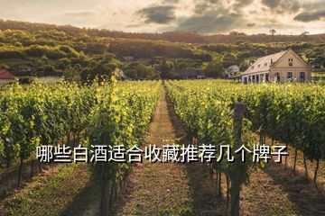 哪些白酒適合收藏推薦幾個牌子