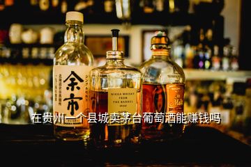 在貴州一個(gè)縣城賣茅臺(tái)葡萄酒能賺錢嗎