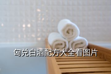 匈兌白酒配方大全看圖片