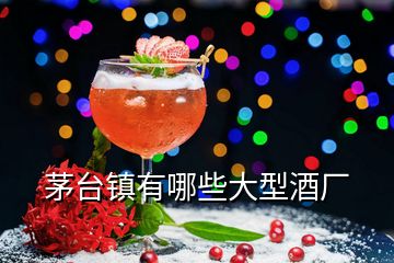 茅臺鎮(zhèn)有哪些大型酒廠