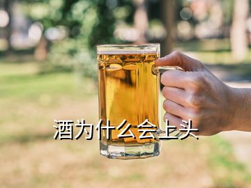 酒為什么會上頭
