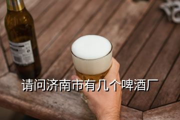 請問濟南市有幾個啤酒廠