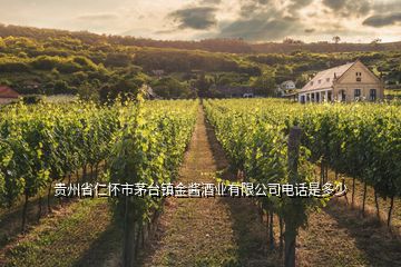 貴州省仁懷市茅臺(tái)鎮(zhèn)金醬酒業(yè)有限公司電話(huà)是多少