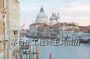 茅臺(tái)總工程師王莉簡(jiǎn)歷