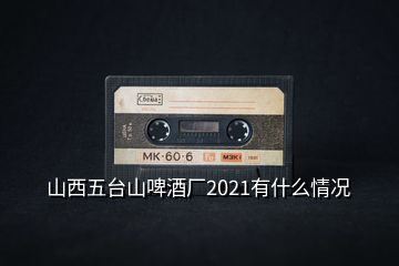 山西五臺(tái)山啤酒廠(chǎng)2021有什么情況