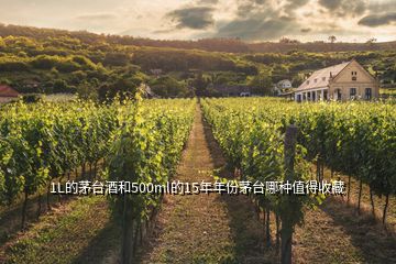 1L的茅臺酒和500ml的15年年份茅臺哪種值得收藏