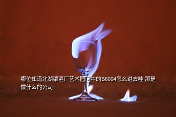 哪位知道北湖渠酒廠藝術(shù)園區(qū)中的B6004怎么進去哇 那是做什么的公司