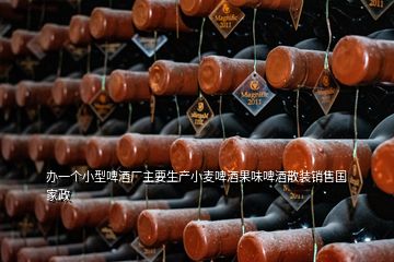 辦一個(gè)小型啤酒廠主要生產(chǎn)小麥啤酒果味啤酒散裝銷(xiāo)售國(guó)家政