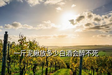 一斤泥鰍放多少白酒會(huì)醉不死