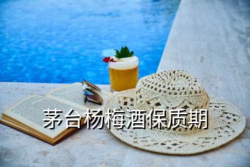 茅臺(tái)楊梅酒保質(zhì)期