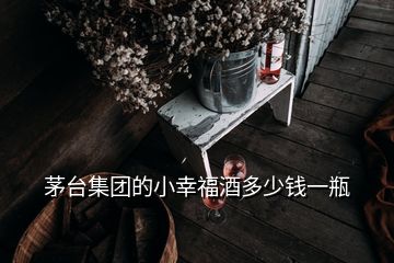 茅臺(tái)集團(tuán)的小幸福酒多少錢一瓶