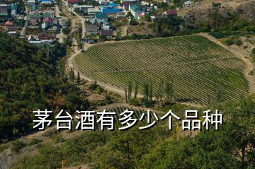 茅臺(tái)酒有多少個(gè)品種