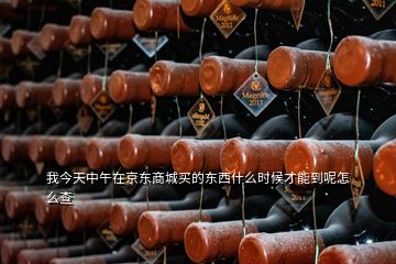 我今天中午在京東商城買的東西什么時候才能到呢怎么查
