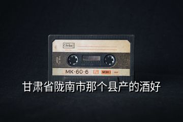 甘肅省隴南市那個縣產(chǎn)的酒好