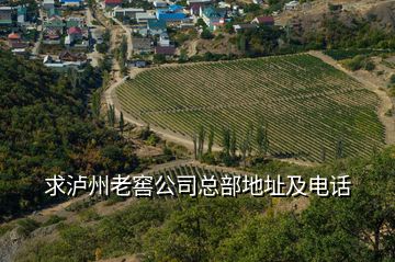 求瀘州老窖公司總部地址及電話(huà)