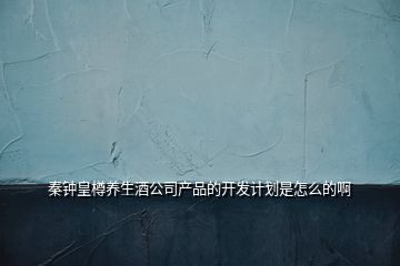 秦鐘皇樽養(yǎng)生酒公司產(chǎn)品的開發(fā)計(jì)劃是怎么的啊
