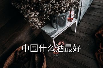 中國什么酒最好