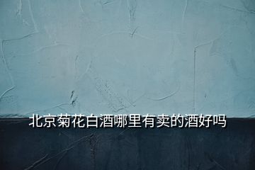北京菊花白酒哪里有賣的酒好嗎