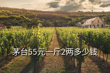 茅臺(tái)55元一斤2兩多少錢(qián)