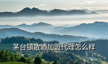 茅臺鎮(zhèn)散酒加盟代理怎么樣