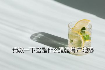 請教一下這是什么酒酒種產地等