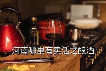 河南哪里有賣(mài)活之釀酒