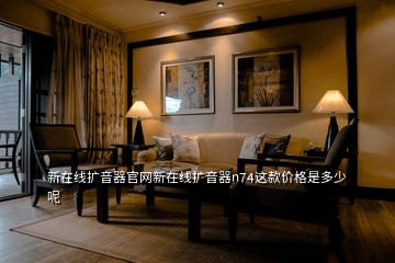 新在線擴(kuò)音器官網(wǎng)新在線擴(kuò)音器n74這款價格是多少呢