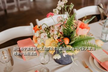 浙江省寧波市鄞州區(qū)南部商務(wù)區(qū)蝶緣路258號鴻安大廈28樓是什么街道百
