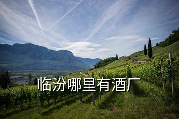 臨汾哪里有酒廠